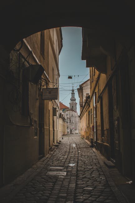 Free Dog Grooming near Me: Discover Top Local Offers