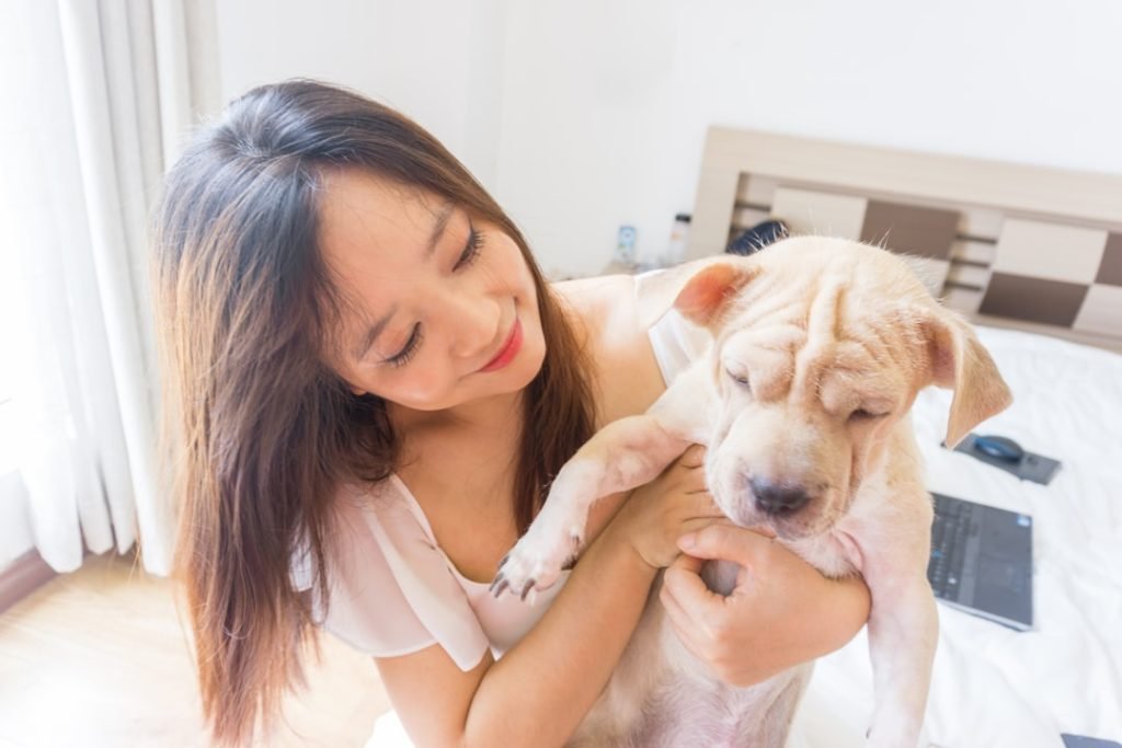 Free Dog Health Insurance: Secure Your Pup’s Health Today