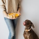 Good Dog Food for Large Breeds: Top Picks Revealed