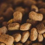 Grain Free Diet Dcm Dog Cause: Understanding the Risks