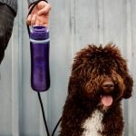 Groom Vroom Mobile Dog Grooming: Pamper Your Pet Anywhere
