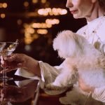 Grooming Styles for Maltese Dogs: Perfect Pooch Looks