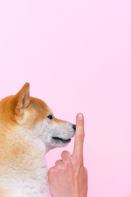 Hand Gestures for Dog Training: Master Non-Verbal Cues