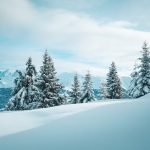 How Much is Dog Training: Uncover Costs & Benefits