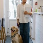 How to Prepare for Dog Adoption: Essential Joyful Tips and Guide 2025