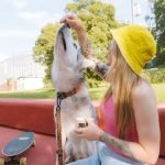 How to Train a Dog off the Leash: Expert Tips Unveiled