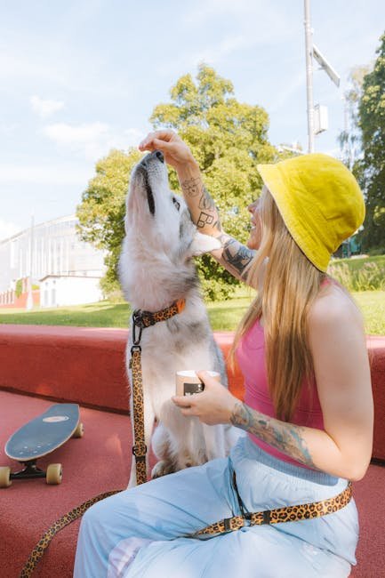 How to Train a Dog off the Leash: Expert Tips Unveiled