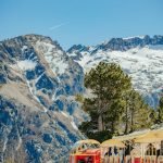 How to Train a Great Pyrenees Dog: Expert Tips