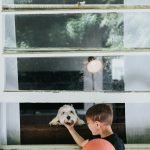 Indoor Activities With Dogs: Fun Bonding Ideas