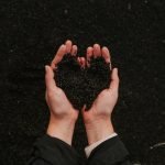 Insurance for Dog Boarding: Essential Protection Tips