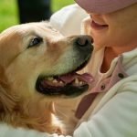 Insurance for Therapy Dogs: Protect Your Healing Heroes