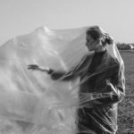 Is Gravy Train Good for Dogs: Unveiling the Truth