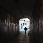 Kelly’S Underground Dog Grooming: Unleash Hidden Expertise