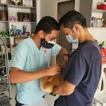 Maru Dog Grooming: Transform Your Pet’s Look Today
