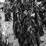 Native American Dog Breeds: Discover Unique Heritage