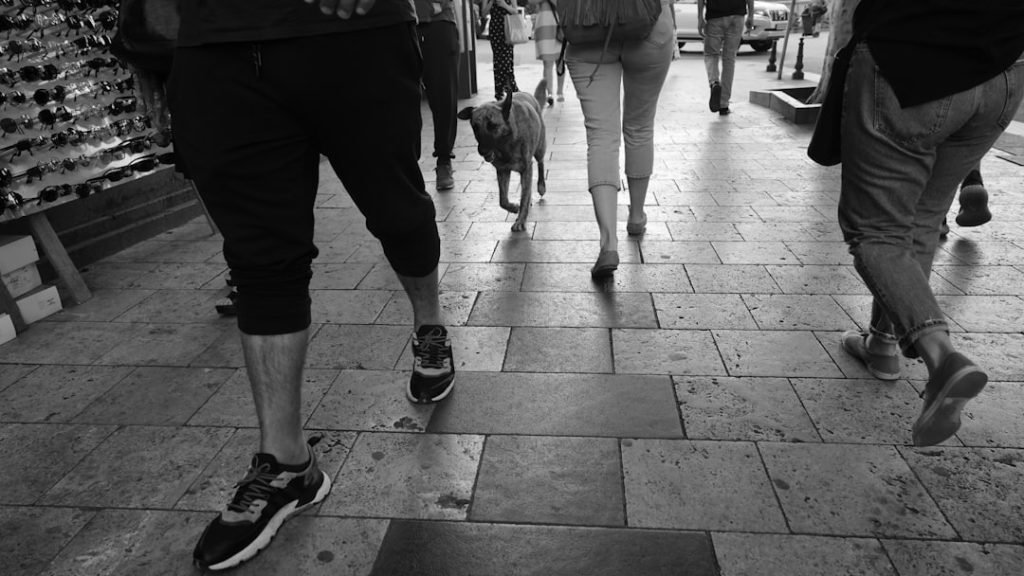 Neutered Dog Behaviour: Unveiling Changes and Benefits