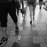 Neutered Dog Behaviour: Unveiling Changes and Benefits