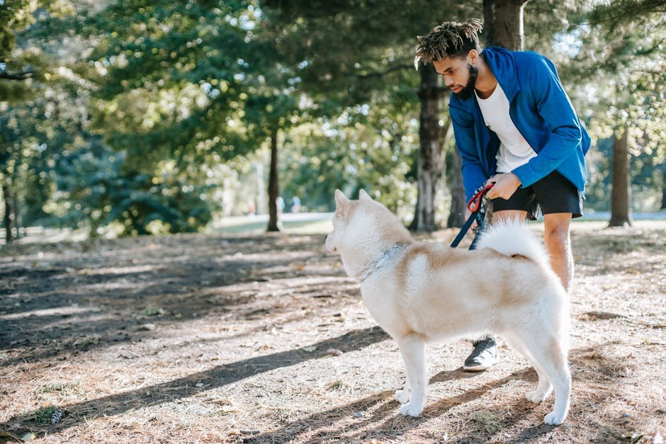 Off Leash Dog Training: Transform Your Pet’s Behavior