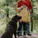 Pet Insurance for Old Dogs: Essential Coverage Tips