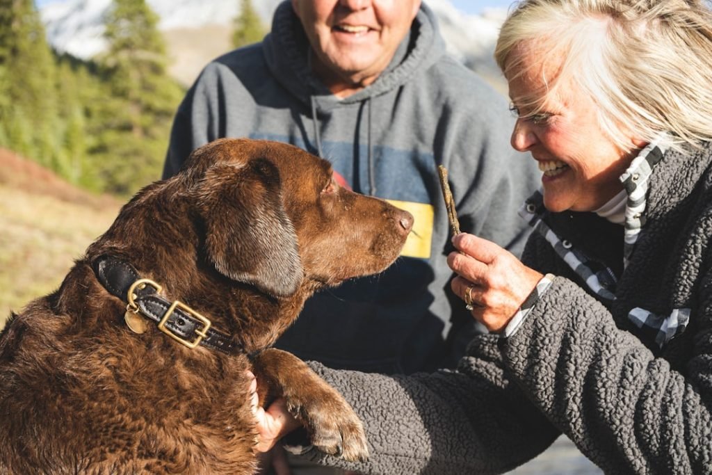Pet Insurance for Older Dogs: Essential Coverage Tips