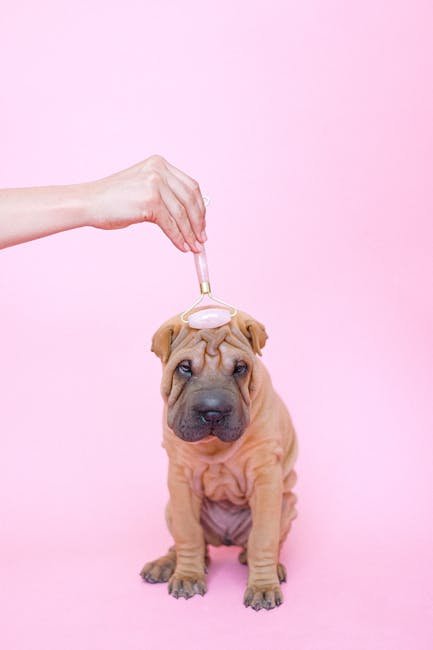 Petsmart Dog Grooming Cost: Affordable Pampering Guide
