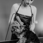 Prairie Dog Daycare Grooming And Boarding: Pamper Your Pets