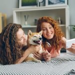Pre Existing Dog Insurance: Essential Coverage Guide