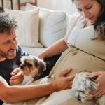 Pregnant Dog Insurance: Essential Coverage for Expecting Pets