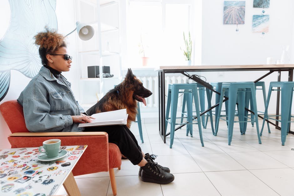 Service Dog Training for Veterans: Transforming Lives