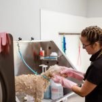 Silly Dogs Grooming Services: Pamper Your Pooch Today!