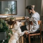 Sit Means Sit Dog Training Albuquerque: Transform Your Pet