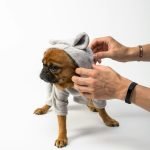 Stripping Grooming Dog: Transform Your Pet’s Coat Today!