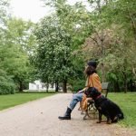 Therapy Dog Liability Insurance: Essential Protection Guide