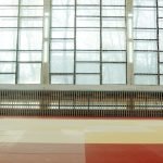 Tips for Training Dogs: Master Techniques Today