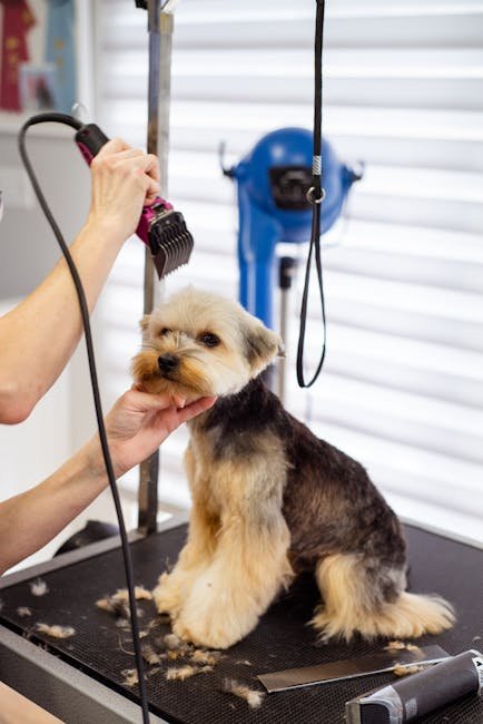 Trejos Dog Grooming: Top Tips for Flawless Fur Care
