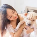 What Type of Dog Insurance Should I Get: Expert Tips