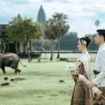 Where Can I Get My Dog Groomed Without Vaccinations: Safe Options