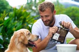 Dog Nutrition: A Beginner's Guide to a Healthy Dog